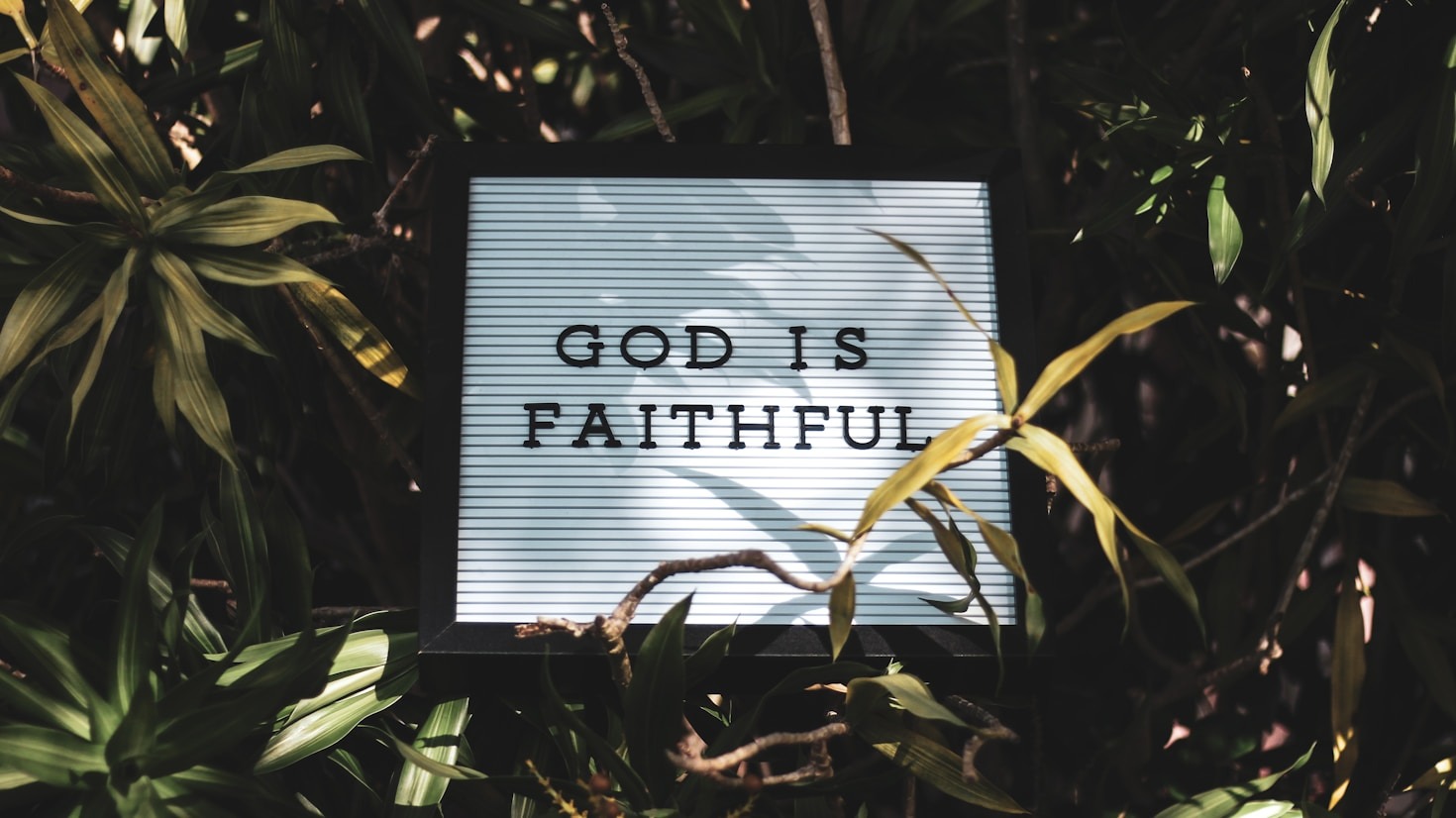 Why Daily Scriptures Matter for Spiritual Growth