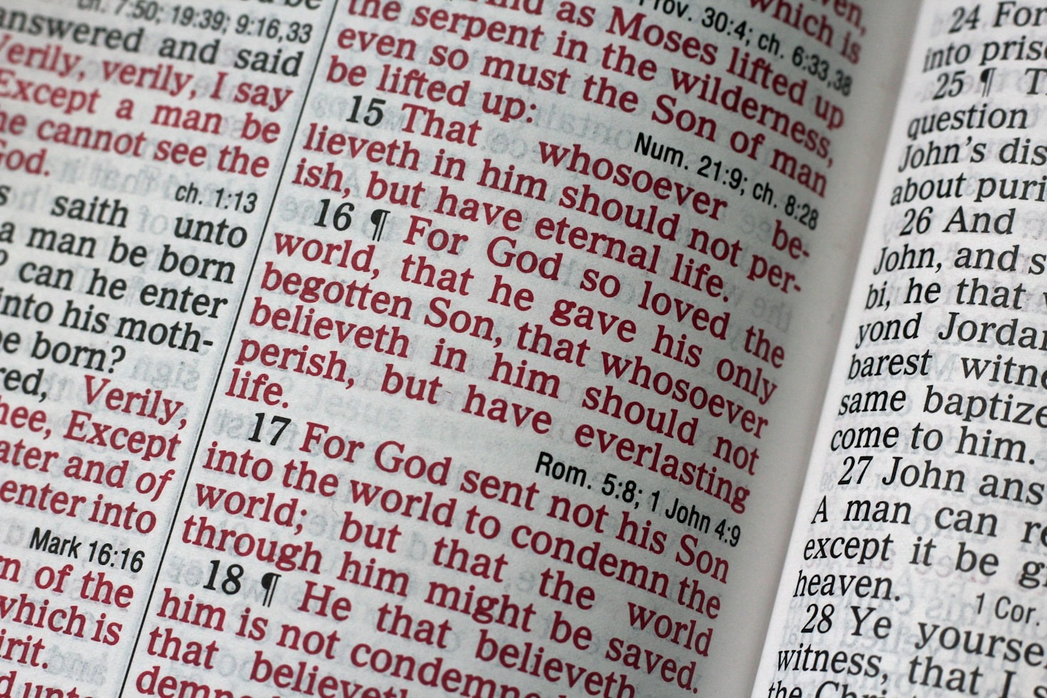 Nourish Your Soul with Daily Teachings