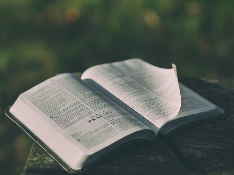 Kardia – Go and Do Likewise: Homily for the 15th Sunday in Ordinary Time (Year C)