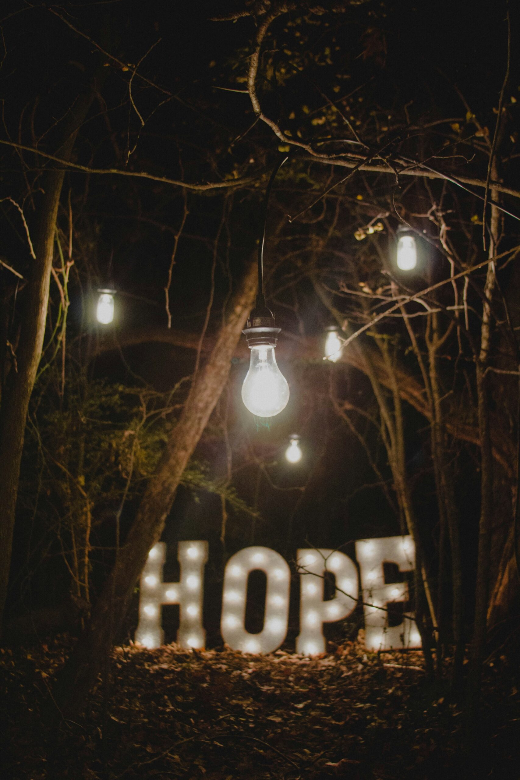 Hello World Featured Image
