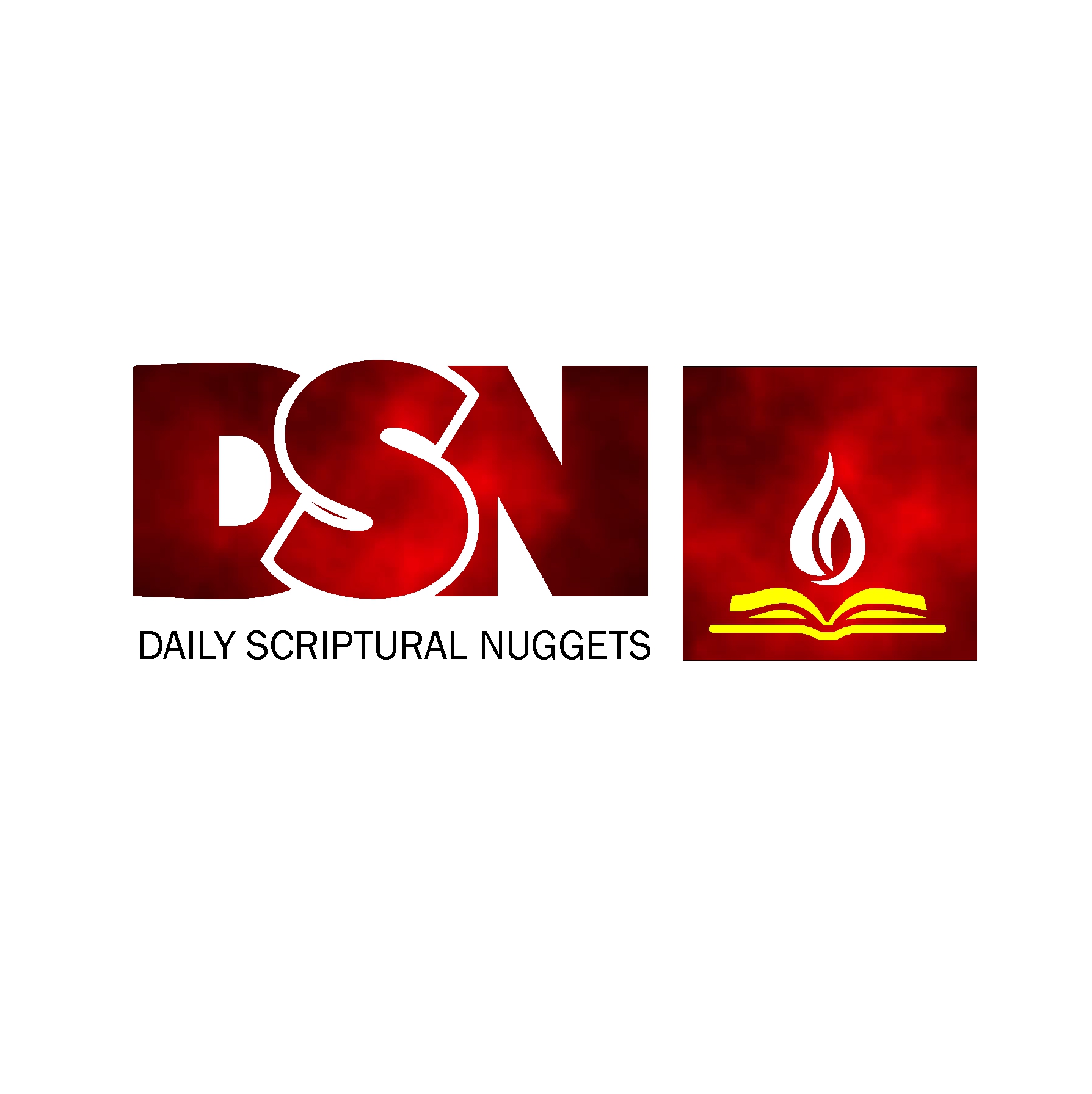 DSN Logo