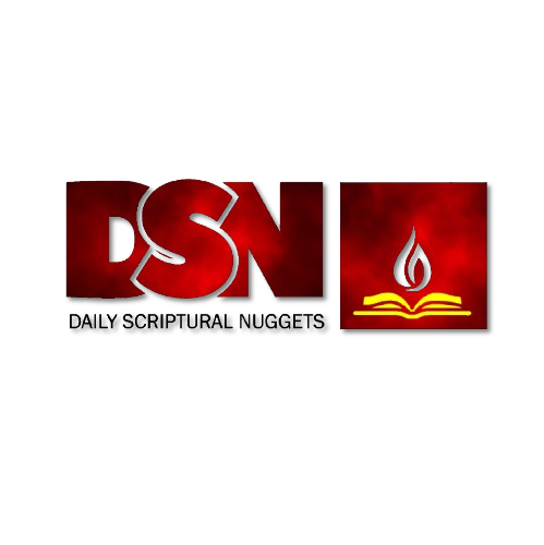 DSN Logo
