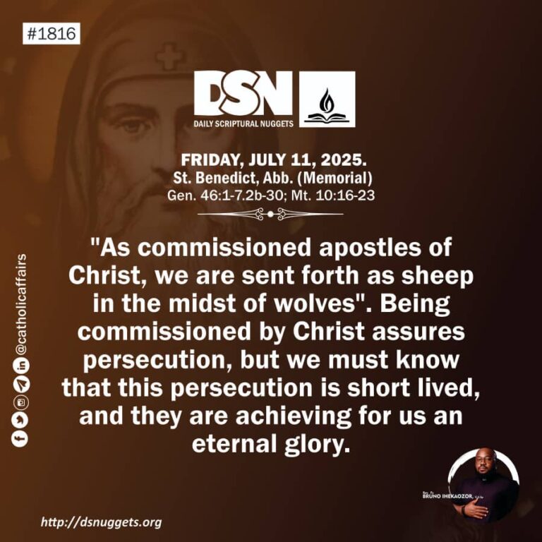  Living the Cost of Discipleship – DSN Reflection for Friday, July 11, 2025